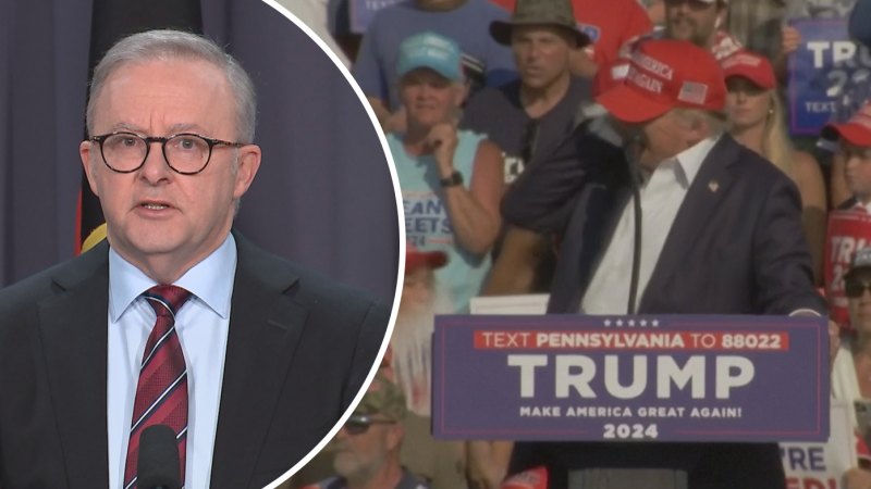 Albanese labels Trump shooting ‘an attack on democratic values’