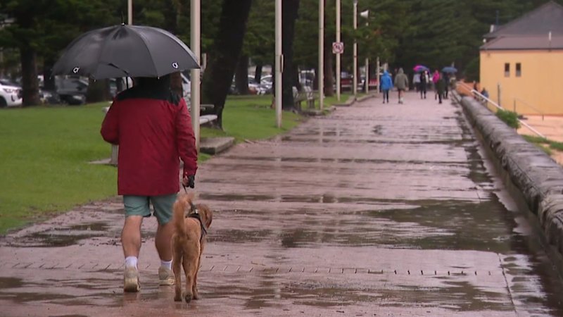 NSW braces for more wet weather