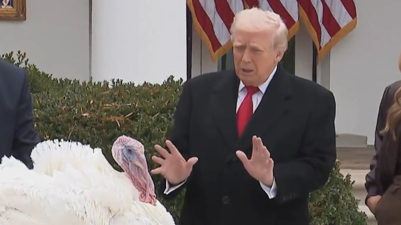 Trump pardons Thanksgiving turkeys