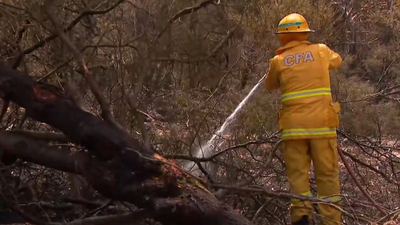 Cool winds whip up bushfires in Victoria’s west