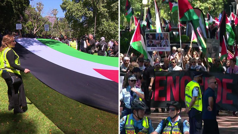 Pro-Palestine protests to proceed in Sydney