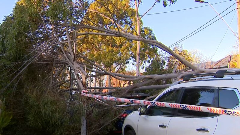 Thousands without power as wild weather lashes Victoria