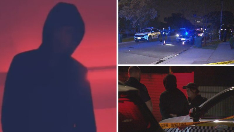 Teen charged with attempted murder over Adelaide stabbing