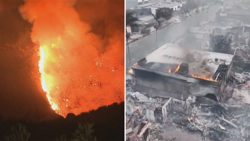 Father at the bedside of son, woman protecting his pets among 11 wildfire victims