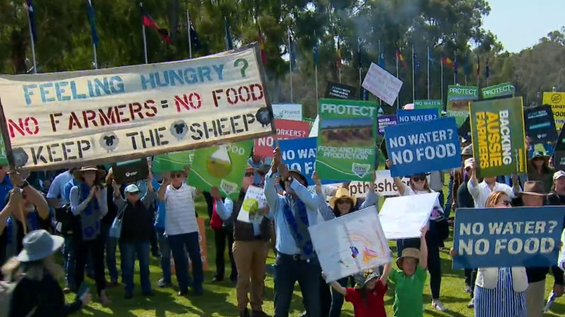 Farmers protest government’s live sheep export ban