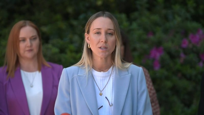 Findings into major gun inquiry handed down