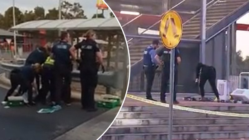 Security guard stabbed after chasing down alleged shoplifters