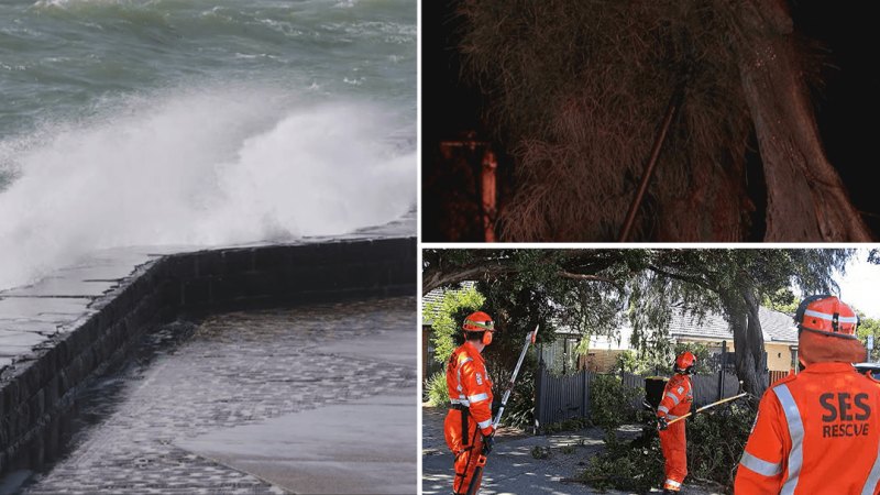 Victorians urged to work from home amid wild weather warning