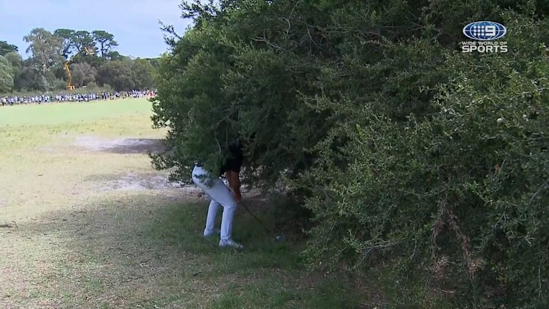 McIlroy's air swing in the shrub