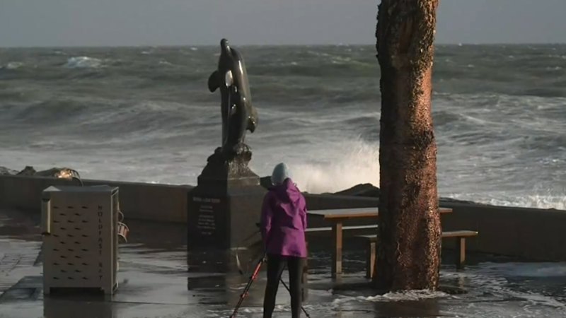 Hundreds of calls to SES during wild weather event