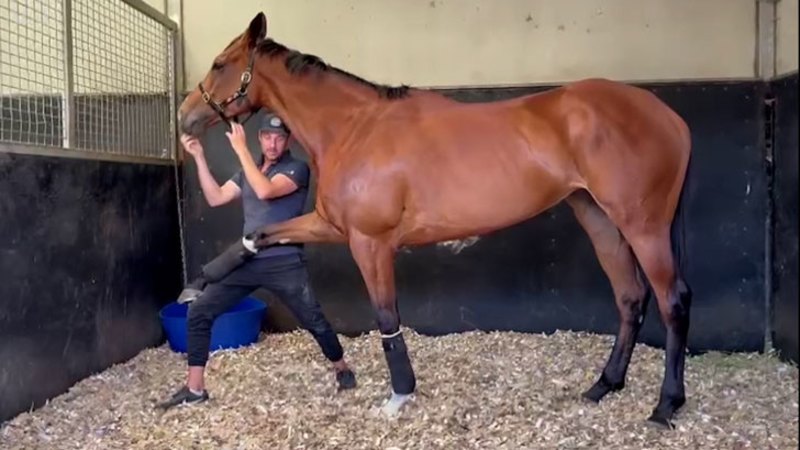 Via Sistina limbers up before Cox Plate win