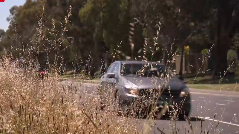 Residents demand action as median strips become overgrown on Melbourne road