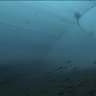 The devastation of bottom trawling