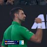 Djokovic seizes control over Alcaraz in 'statement'
