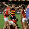 The AFL has admitted a controversial umpiring call that cost Adelaide a chance to win last night's clash against Essendon was technically incorrect.