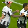 Ten man Newcastle fight back against Liverpool