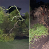 Power outages in Western Australia after night of wild weather