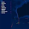 Whale crossings in Australian waters