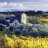 La dolce vita ... the famed vineyards of Chianti.