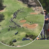 Massive crowd hits country course to see Smith