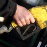 Two-year fuel price monitoring trial to roll out in Queensland