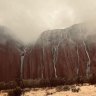 Spring rainfall at Uluru