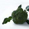 Fresh: broccoli