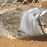 How we bagged a monster: NT ranger tells of 10-year croc hunt