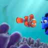 Fish can be friends, researchers find