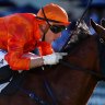 Trainer Thompson ready to unleash twin threat at Rosehill