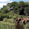 Elephants near Singita Lebombo Lodge, South Africa.