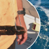 Teenager bitten by shark in South Australia