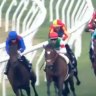 J-Mac seizes another Group 1