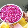 Moveable feast ... flower offering at Varanasi.