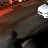 Security footage shows Mohammed Akbar Keshtiar being gunned down outside his apartment building in South Yarra last year.