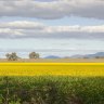 Wangaratta, Victoria: Travel guide and things to do