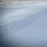 The Australian Antarctic Program is in the midst of Australia’s most ambitious field expedition in 20 years