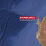 A man is recovering in hospital tonight after being bitten by a shark near Exmouth.