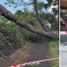 Wild weather continuing to lash south-east Australia today