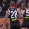 St Kilda star Brad Crouch could find himself suspended over this hit on Darcy Gardiner