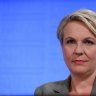 Election 2016: Tanya Plibersek slams 'false' Greens foreign policy 