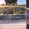 Australians wake up to coldest morning of the year