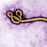 Congo's Ebola outbreak in 'new phase' as virus enters three health zones