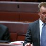 Nigel Scullion calls for 'transparency' after alleged rape of two-year-old in Tennant Creek