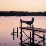 Mannum, South Australia: Travel guide and things to do