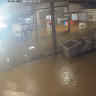 Record flood inundates Norco ice-cream factory in Lismore