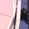 A French national who was jailed after scaling a building in Melbourne has admitted he’s sorry but would do it again.
