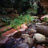 Australian wonder ... Carnarvon Gorge.