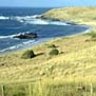 Phillip Island - Places to See