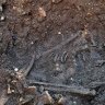 King Richard III had worms, say scientists